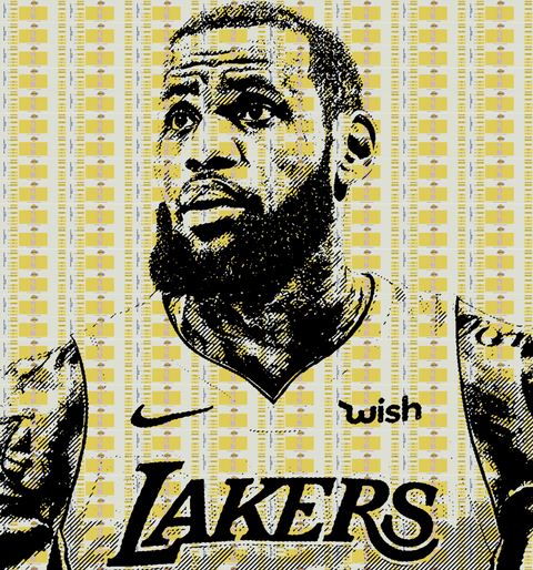 LA-BRON Print -  Paper and Fabric